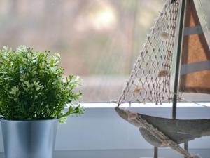 Eine Pflanze in einem Topf neben einem Fenster in der Unterkunft Ferienwohnung auf Gut Börtewitz in Leisnig