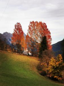 Gallery image of Haus Walser in Sankt Anton am Arlberg