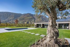 un arbre devant un bâtiment avec des montagnes en arrière-plan dans l'établissement Auhof, à Merano