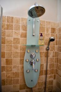 um WC numa casa de banho com chuveiro em Chambre d'hôtes Cottes em Callian