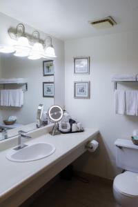 a bathroom with a sink and a mirror and a toilet at Niagara Falls Motor Lodge in Niagara Falls