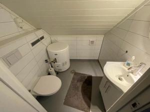 a small bathroom with a toilet and a sink at Lofoten Havfiske in Leknes