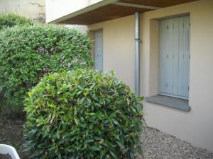 a green hedge in front of a building with a door at grand appartement en résidence in Vendôme