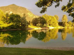 a lake with trees and a mountain in the background at Landhaus Glücksmoment in Rottau
