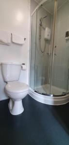 a bathroom with a white toilet and a shower at Kingussie Garden Cabins in Kingussie