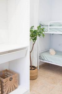 a white closet with a plant and a shelf at Netania in L'Ampolla