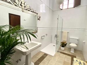 Koupelna v ubytování Casa Palacio Ánima