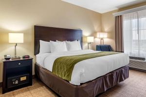 Afbeelding uit fotogalerij van Comfort Inn & Suites Scott-West Lafayette in Scott