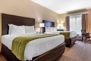 Afbeelding uit fotogalerij van Comfort Inn & Suites Scott-West Lafayette in Scott +25 foto's