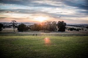 a field with the sun setting in the distance at Kralinbergh Estate Guesthouse in Ermelo