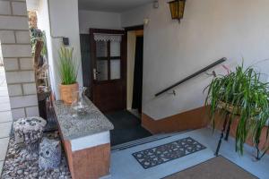 una habitación con una puerta y algunas plantas en Ferienwohnung Timmy en Lubmin