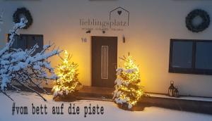 Lieblingsplatz - Ski in und Ski out v zime
