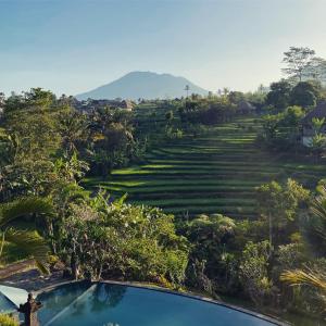 a scenic view of a lush green hillside with palm trees at Abian Ayu Villa in Sidemen