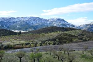 Zdjęcie z galerii obiektu Casa Rural VILLA MELUSINE w mieście Vélez Rubio
