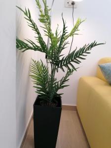 Fotografie z fotogalerie ubytování SING APARTMENT v destinaci Zadar