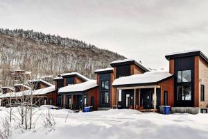 una fila de casas en la nieve en 15 Chemin des Cascades en Stoneham