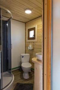 a bathroom with a toilet and a sink at La Odai in Bran