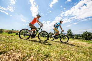 Zwei Männer reiten Fahrrad auf einem Grashügel in der Unterkunft Der Birkenhof Spa & Genuss Resort in Hofenstetten