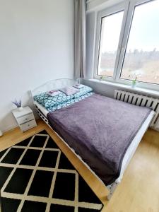 a bed in a room with a window at Apartament LAKE z widokiem na jezioro in Ostróda