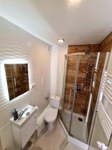 a bathroom with a toilet and a shower and a sink at Apartament LAKE z widokiem na jezioro Jakuba in Ostróda