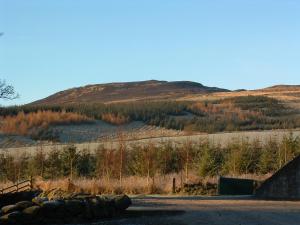 a view of a hill with a mountain in the background at Tomnagairn Cottage in Dunkeld