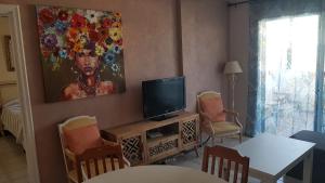 salon z telewizorem i obrazem na ścianie w obiekcie Private apartment with roof terrace w Aronie