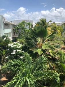 a group of palm trees and flowers in front of a building at Résidence MARINA 3 in Les Trois-Îlets