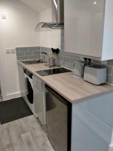 a kitchen with a sink and a cat sitting on the counter at Carriage Lodge - Stunning Apartment with parking in Wateringbury