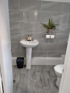 a bathroom with a sink and a toilet at Carriage Lodge - Stunning Apartment with parking in Wateringbury