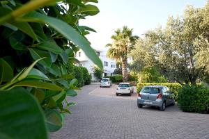 Сад в Melia Sol Art Studios
