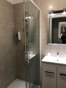 La salle de bains est pourvue d'une douche avec une porte en verre. dans l'établissement Hotel L'Escale, à Aigues-Mortes