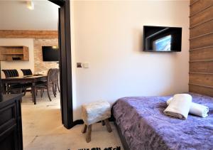 Televízia a/alebo spoločenská miestnosť v ubytovaní VIP Apartamenty Modrzejewska Residence