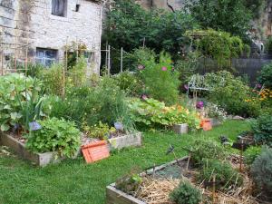 a garden with many different types of plants at Clos des Moulins in Poitiers