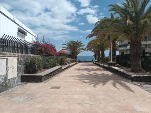 um passeio com palmeiras e um edifício em DAC HOME AGAETE PARQUE em Playa del Inglés