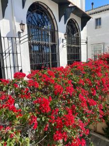 Zahrada ubytování Casa Palacio Ánima