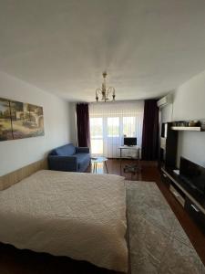 een slaapkamer met een bed, een bank en een televisie bij Le Garçon de Adi-Cosy,Quiet,Spatious Studio in Boekarest +7 foto's