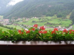 a view of a field of flowers from a window at Appartement Harmonie in Sölden