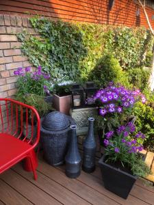 eine Gruppe von Vasen und Blumen auf einem Deck in der Unterkunft Blackrock B&B in Dublin