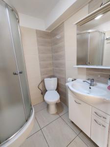 a bathroom with a toilet and a sink and a shower at Rekreačné zariadenie Javorinka in Gerlachov