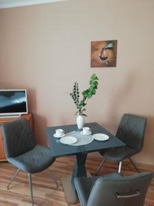 a blue table with two chairs and a plant on it at Szilvia apartman in Harkány