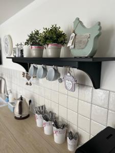 a kitchen counter with cups and plants on a shelf at Penzion Jako Ze Škatulky in Bořetice