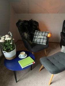 a living room with a chair and a table with a book at Ferienwohnung Brügge - zwischen Eider & Nord-Ostsee-Kanal in Breiholz