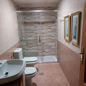 a bathroom with a shower and a toilet and a sink at RUA ZAPATERIA 10 PLASENCIA in Plasencia