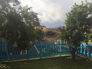 UssanaにあるCasa Ondina con giardino e Wi-Fi Ussanaの青塀とオレンジの木と二本の木