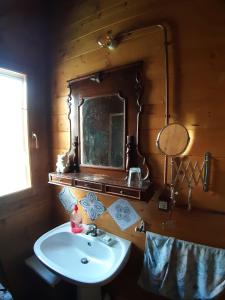 a bathroom with a sink and a mirror at La Casetta di Ross in Castellina Marittima