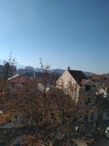 Blick auf eine Stadt mit einem Baum und Gebäuden in der Unterkunft Apartment Bohemian Dream in Nikšić