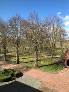 een park met bomen en een gebouw en een veld bij Ferienwohnung im idyllischen Gulfhof in Krummhörn