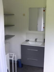 un bagno con lavandino e specchio di La Calypso Maison 6 Personnes a Blangy-sur-Bresle