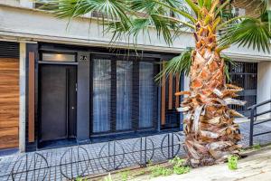 a palm tree in front of a building at NEW Loft Cabel & Parking in Córdoba