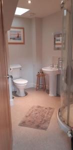 a bathroom with a toilet and a sink at Pinewood Cotage - Country Walks and Relaxation in Blairgowrie